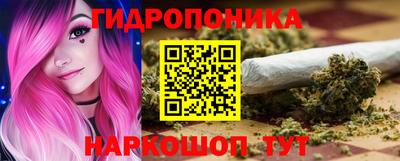 Альфа ПВП Канаш
